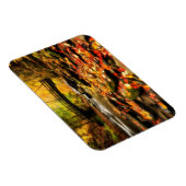 Houden Bridge en Creek in Herfst Magneet (Rechterzijde)