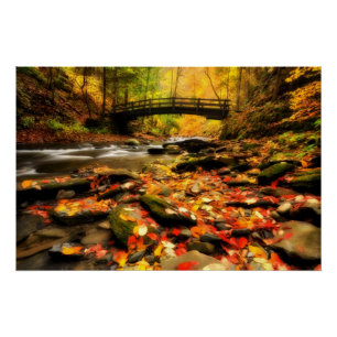 Houden Bridge en Creek in Herfst Perfect Poster