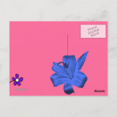 HOUDEN BRIEFKAART (Achterkant)