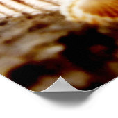 Houders aan de kust... Afdrukken Poster (Hoek)