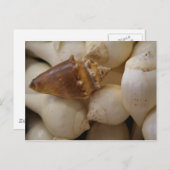 Houders II Briefkaart (Voorkant / Achterkant)