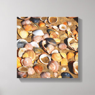 Houders op een zandstrand Andalusië, Spanje Canvas Afdruk