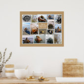 Houders van Daufuskie Island, SC Poster (Keuken)