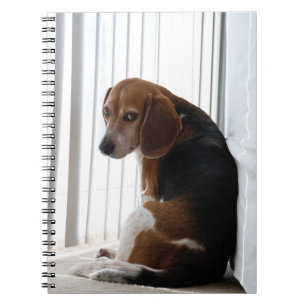 houding notitieboek