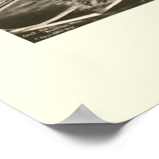 Houlton, ME Panoramic Map - 1894 Poster (Hoek)