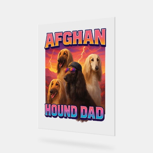 Hound afghan (Angle)