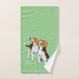 Hound beagle