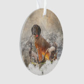 Hound de montagne bavarois, Art (devant)