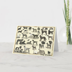 Hounds - Hondenrassen voor Hondenliefhebbers honde Kaart