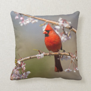 House Birds Photo Pillow Kussen