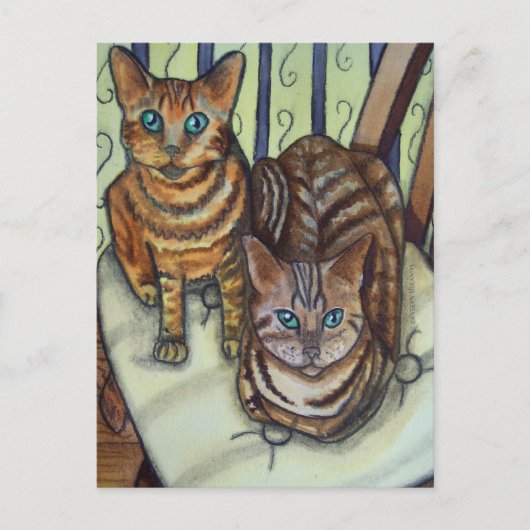 House Cats Briefkaart (Voorkant)
