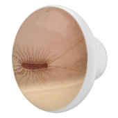 House Centipede Keramische Knop (Rechts)