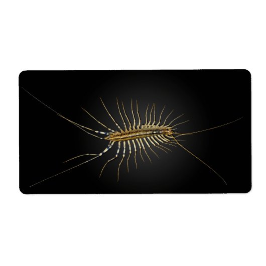 House Centipede Scutigera Coleoptrata Etiket (Voorkant)