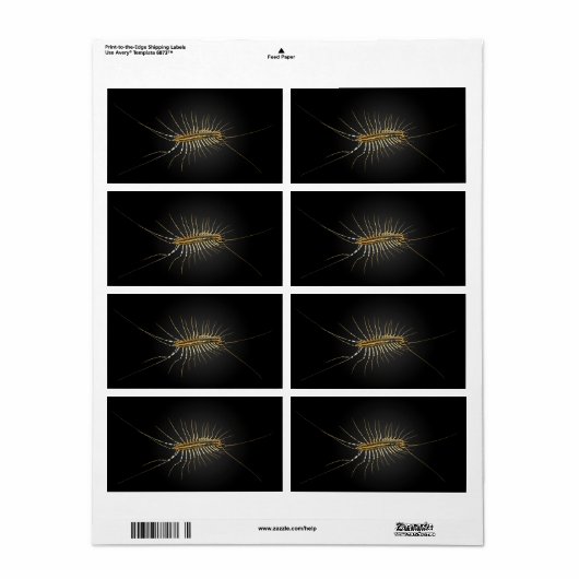 House Centipede Scutigera Coleoptrata Etiket (Full Sheet)