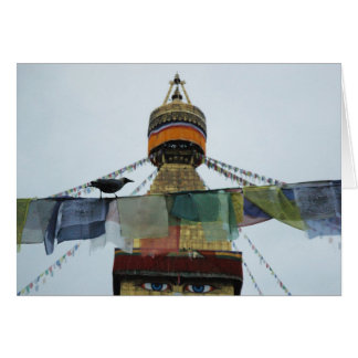 House Crow at Prayers Bodha Stupa, Nepal