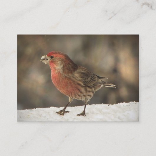 House Finch ATC Visitekaartje (Voorkant)