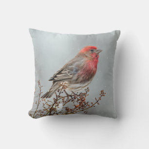 House Finch in Snow - Originele foto Buitenkussen