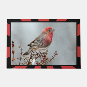 House Finch in Snow - Originele foto Deurmat