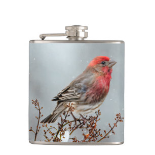 House Finch in Snow - Originele foto Heupfles