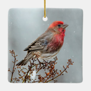 House Finch in Snow - Originele foto Keramisch Ornament