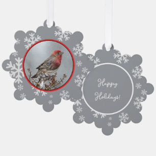 House Finch in Snow - Originele foto Ornament Kaart