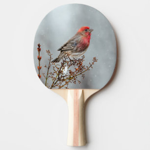 House Finch in Snow - Originele foto Tafeltennisbatje