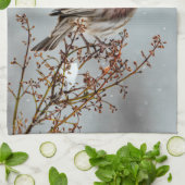 House Finch in Snow - Originele foto Theedoek (Gevouwen)
