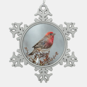 House Finch in Snow - Originele foto Tin Sneeuwvlok Ornament