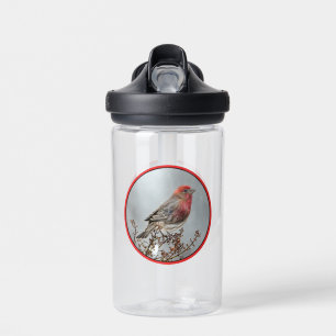 House Finch in Snow - Originele foto Waterfles