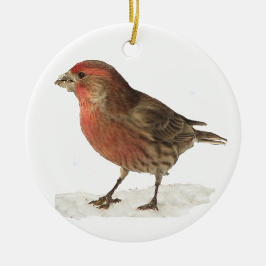 House Finch Keramisch Ornament (Voorkant)