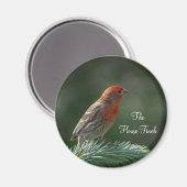 House Finch Magnet Magneet (Voorkant / Achterkant)