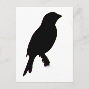 House Finch silhouette Briefkaart