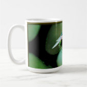 House Fly Mok (Links)