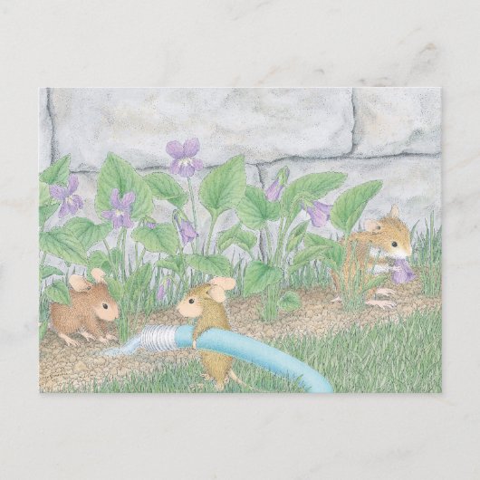 House-Mouse Design® Briefkaart (Voorkant)