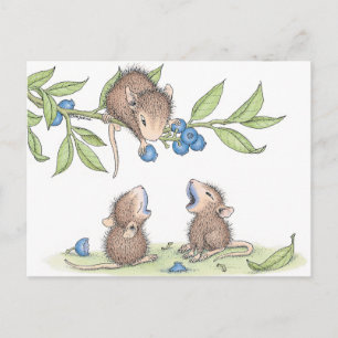 House-Mouse Design® - Briefkaarten