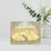House-Mouse Designs® - Cartes postales (Debout devant)