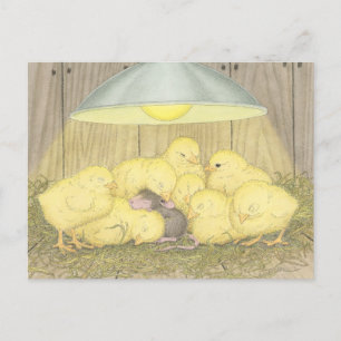 House-Mouse Designs® - Cartes postales