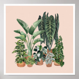 House Planten Illustratie 4 Poster
