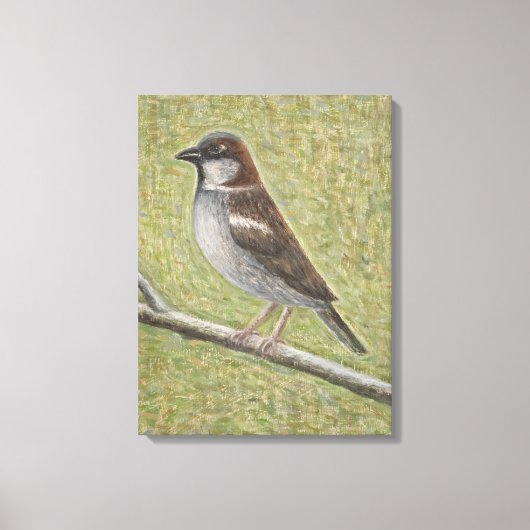 House Sparrow 2008 Canvas Afdruk (Voorkant)