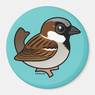 House Sparrow Magneet