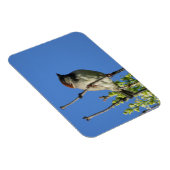 House Sparrow on Lilacs Magnet Magneet (Rechterzijde)