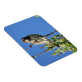 House Sparrow Spring Lilacs Magnet Magneet (Rechterzijde)