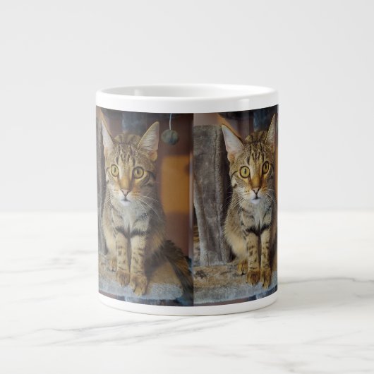 House Tiger Extra Grote Beker (Voorkant)