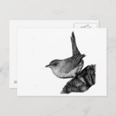 House Wren Briefkaart (Voorkant / Achterkant)