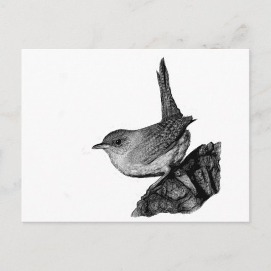 House Wren Briefkaart (Voorkant)