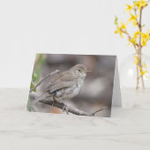 House Wren Kaart (Gele Bloem)