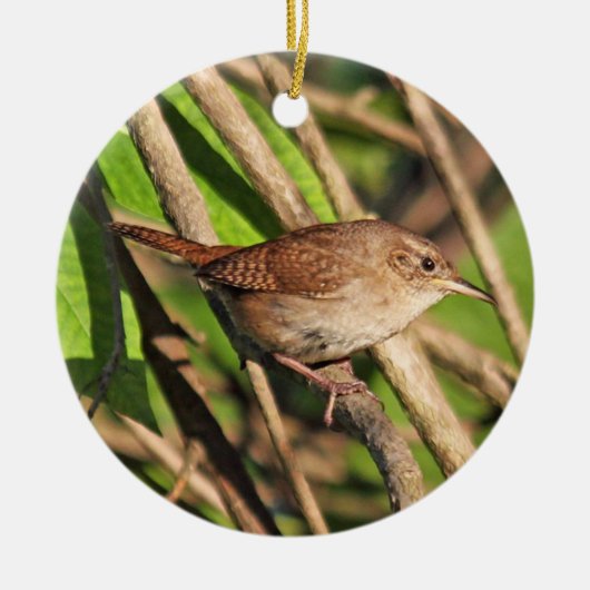 House Wren Ornament (Voorkant)