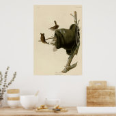 House Wren Poster (Keuken)