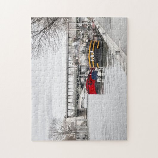 Houseboten nabij Pont Bir-Hakeim - Parijs Legpuzzel (Verticaal)