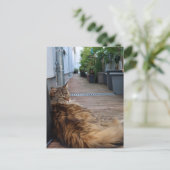 Housewarming of net verhuisde kaart (Staand voorkant)